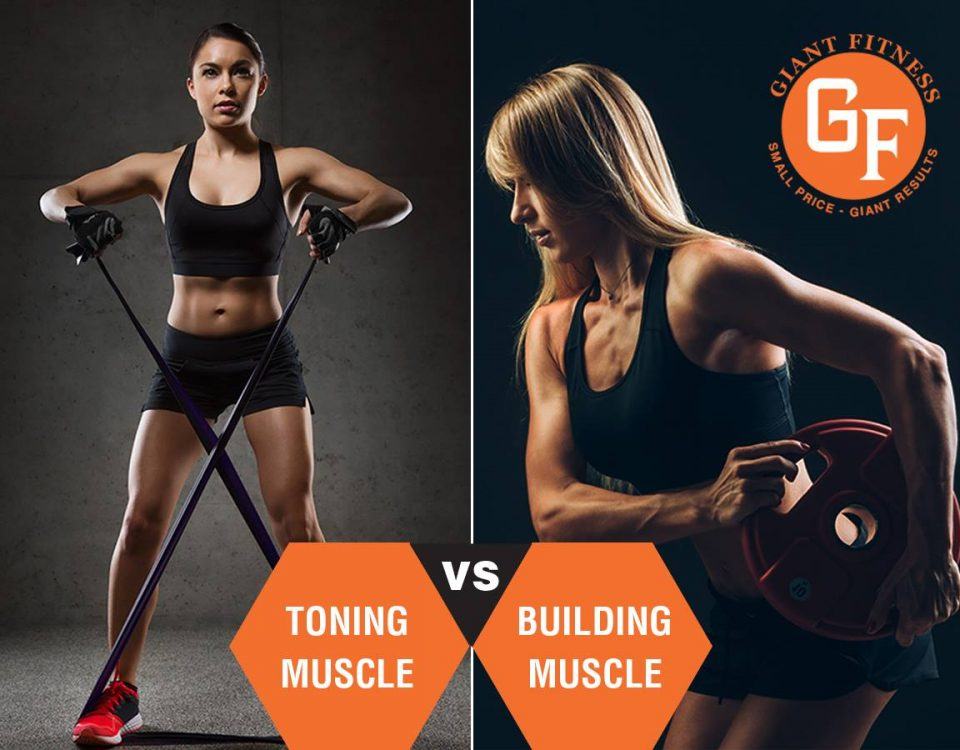 Image of different exercises for toning and building muscle at the gym.