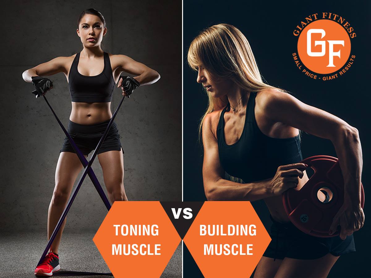 Different exercises at the gym for toning and building muscle.
